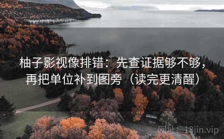 柚子影视像排错：先查证据够不够，再把单位补到图旁（读完更清醒）